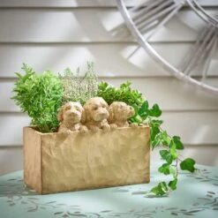 Set Of 3 Cockapoo Planters