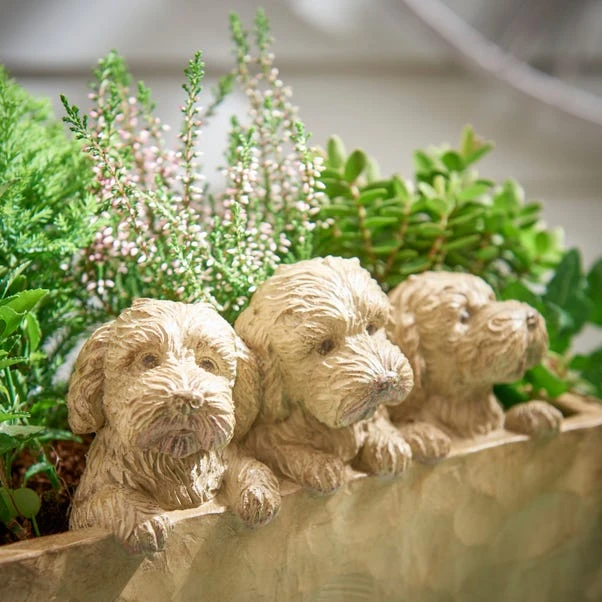 Set Of 3 Cockapoo Planters - Image 2
