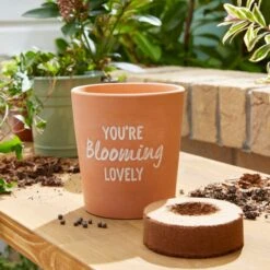 Taylor's Bulbs You're Blooming Lovely Terracotta Plant Pot