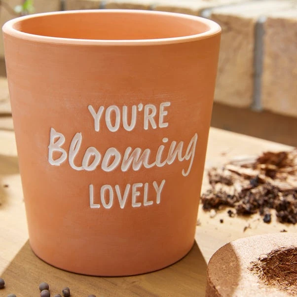 Taylor's Bulbs You're Blooming Lovely Terracotta Plant Pot - Image 2