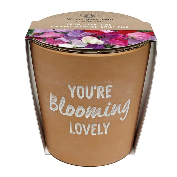 Taylor's Bulbs You're Blooming Lovely Terracotta Plant Pot - Image 3