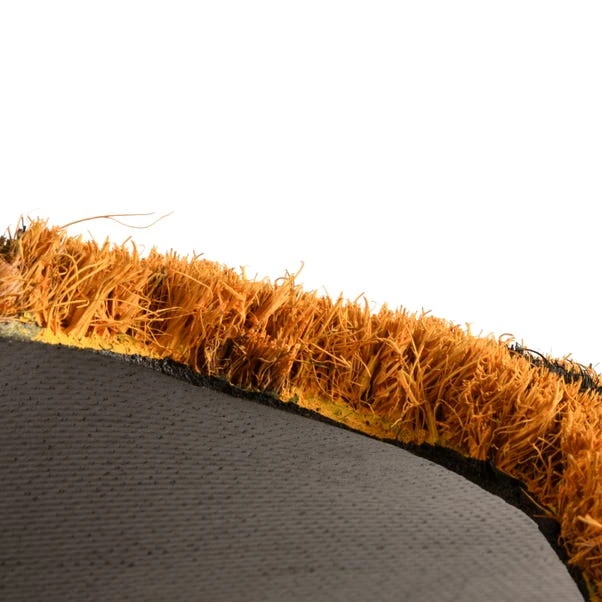 Fallen Fruits Cheetah Coir Doormat - Image 3