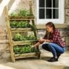 Ladder Planter