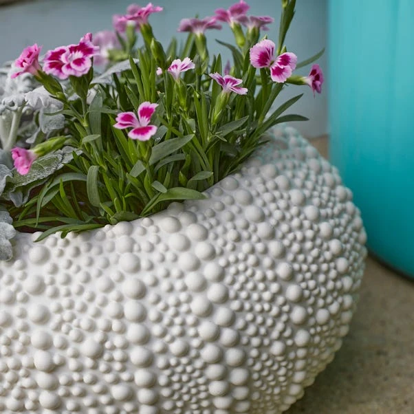 Sea Urchin Plant Pot - Image 2