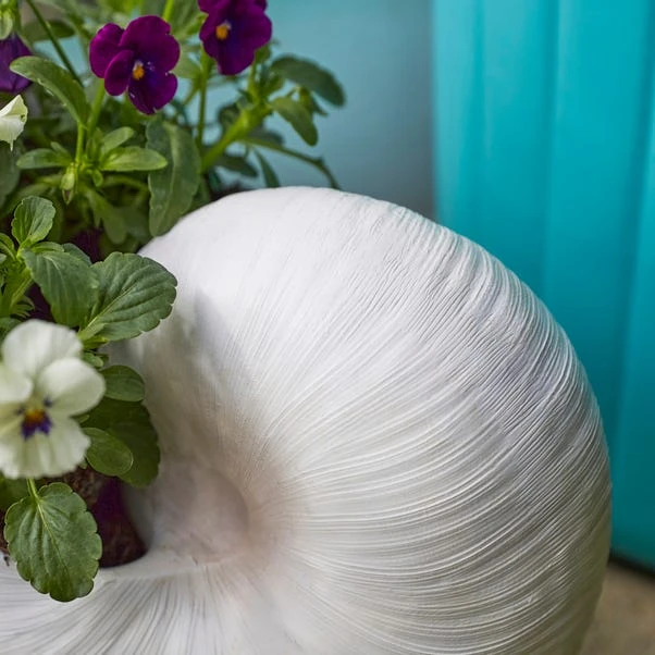 Resin Off White Nautilus Shell Plant Pot - Image 2