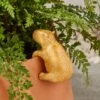 Capybara Resin Pot Hanger