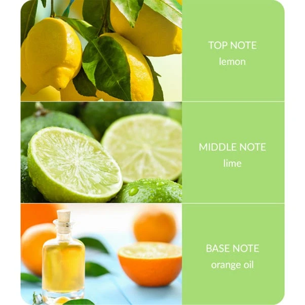 Heart And Home Ellipse Citrus Crush Multi Wick Candle - Image 4