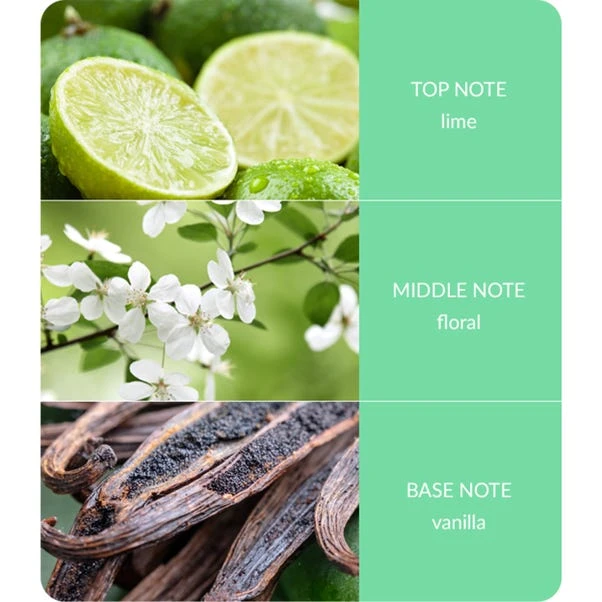 Heart And Home Ellipse Lime Splash Multi Wick Candle - Image 4