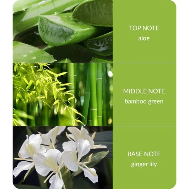 Heart And Home Bamboo & Ginger Lily Jar Candle - Image 4