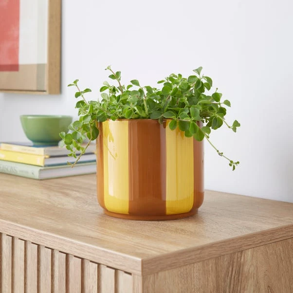 Elements Striped Ceramic Plant Pot - Image 4