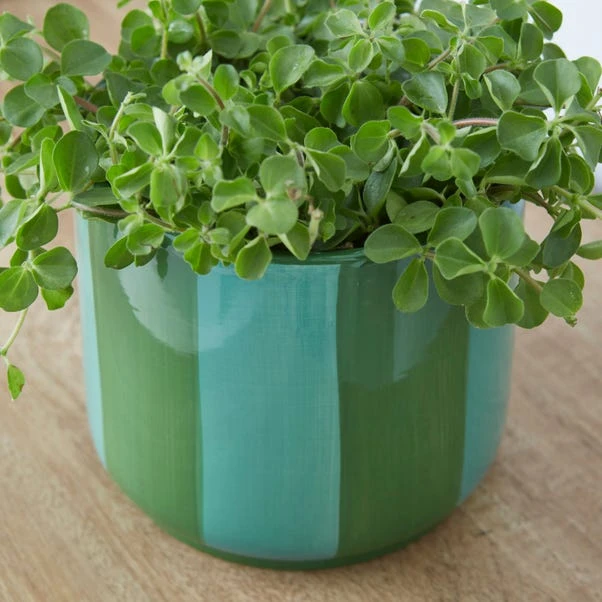 Elements Striped Ceramic Plant Pot - Image 2