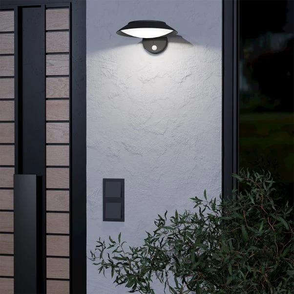 EGLO Cerrisi LED Indoor Outdoor Solar Wall Light